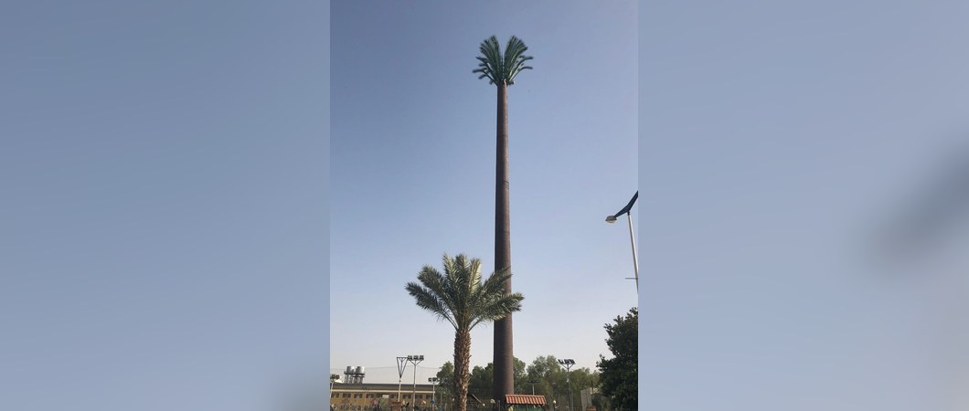 Palm tree camouflage tower, Sudan