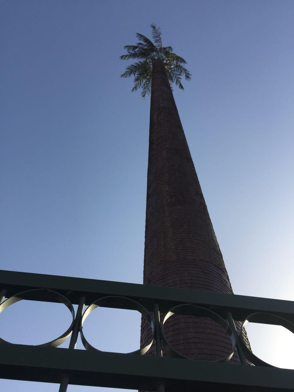 Palm tree camouflage tower with a tapered trunk, Sudan
