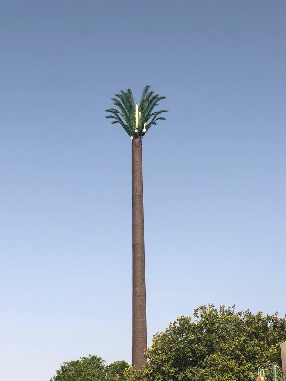 Finished palm tree camouflage tower on site